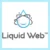 Liquid Web